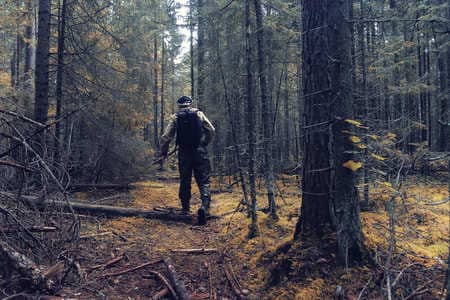 Купить диплом Егеря, лесника в Обнинске