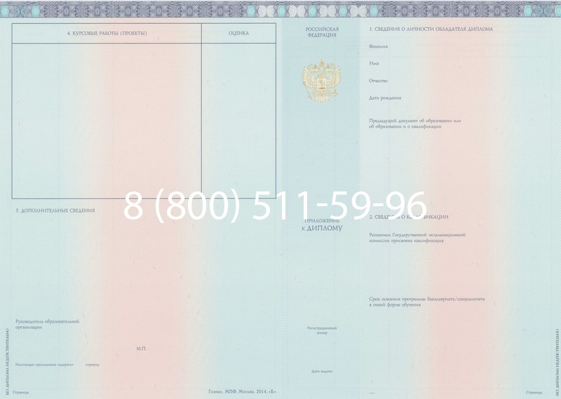 Заказать Диплом бакалавра 2014-2024 года в Обнинске Заказать Диплом бакалавра 2014-2024 года в Обнинске